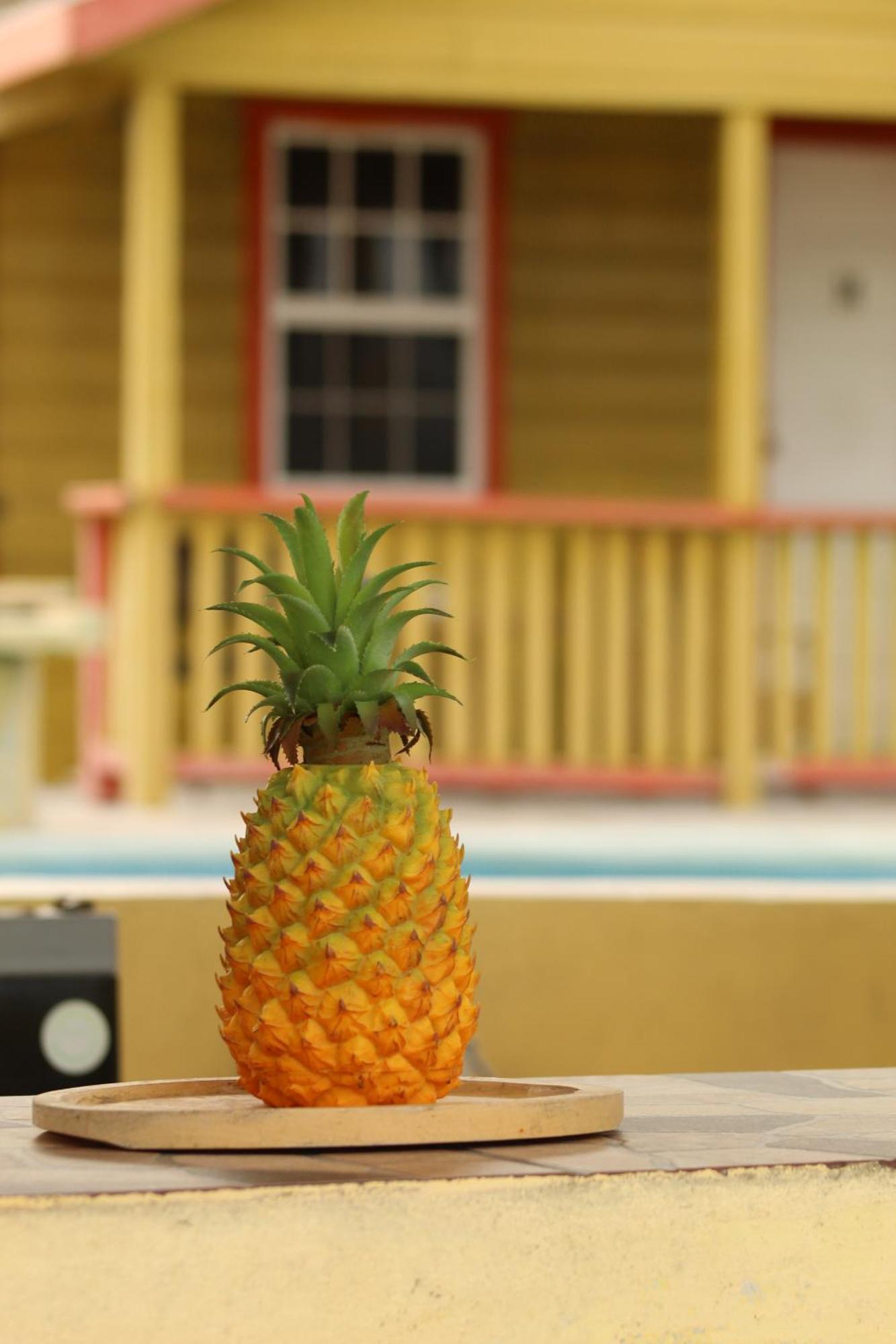 Tropical Paradise Caye Caulker Ngoại thất bức ảnh