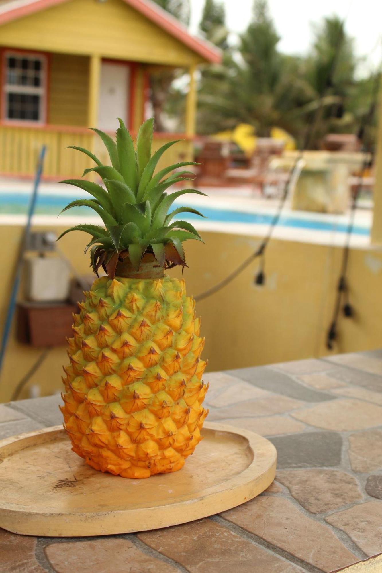 Tropical Paradise Caye Caulker Ngoại thất bức ảnh